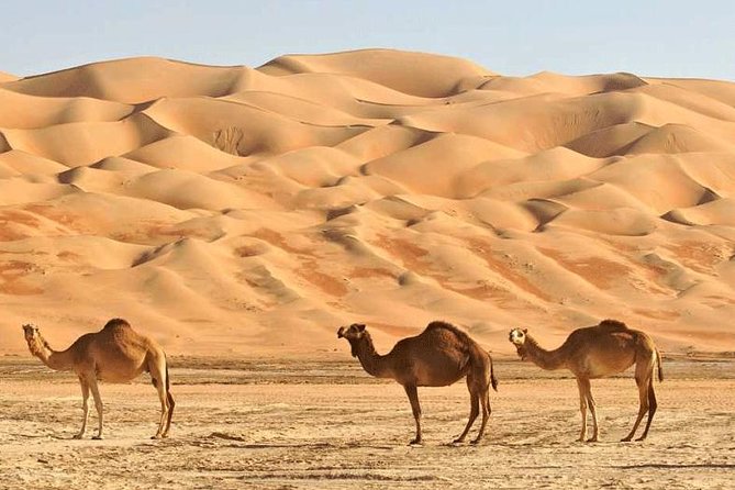 Wahiba Sands and Desert Safari from Muscat - What is included, what is not, and how to pack smart