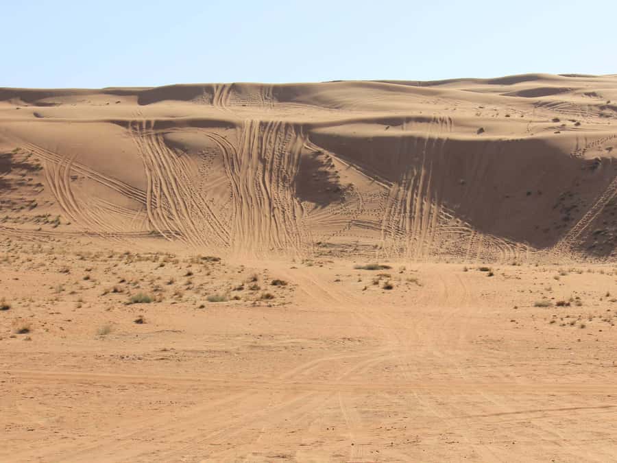 Wahiba Sands and Wadi Bani Khalid Full-Day Tour from Muscat - Wahiba Sands 4x4 dune bashing: where the adrenaline actually hits