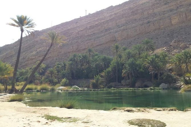 Wahiba Sands Desert Safari 4X4 - Who this tour is best for, and who might prefer another style