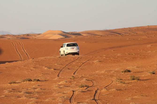 Wahiba Sands Safari with Wadi swimming and Camelride - Stop 2, Wadi Bani Khalid oasis walk and swimming