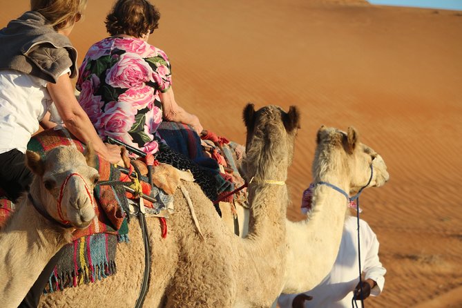 Wahiba Sands Safari with Wadi swimming and Camelride - Price and value: $265.60 per person that includes the stuff you’d otherwise pay for