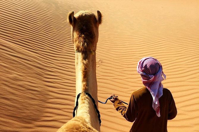 Wahiba Sands&Wadi Bani Khalid desert Safari(Muscat tours) - Wahiba Sands: dune bushing, golden sand angles, and photos that work