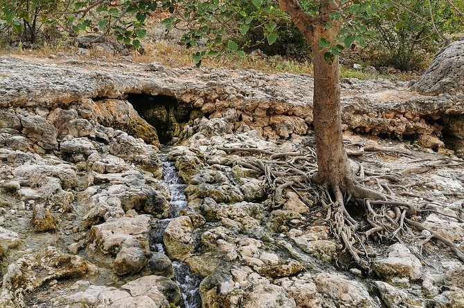 West Salalah, Al Mughsail Beach, White Beach, Frankincense Tree (Half day Tour) - Ayn Razat spring water: the gentler side of the coastline