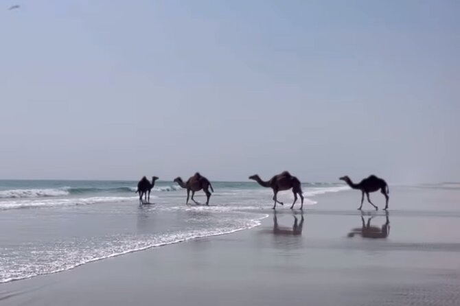 West Salalah Beaches and Blowholes - Why this West Salalah route feels different from the usual beach day