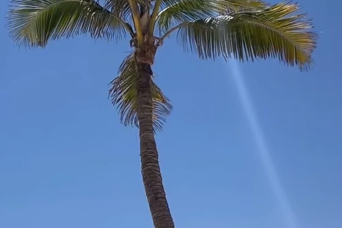 West Salalah Beaches and Blowholes - Fazayah Beach Trucking Way: why the drive to sand feels worth it