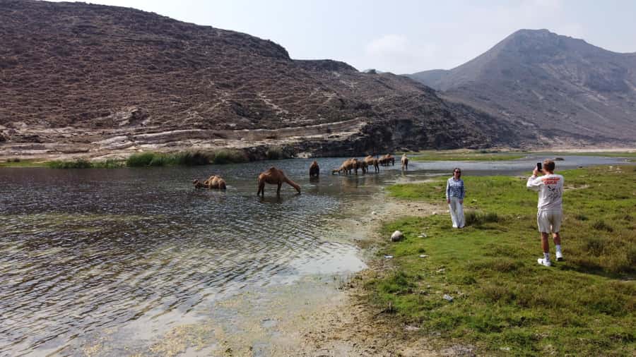West Salalah Highlights: Coastal Wonders & Scenic Views - A 6-Hour Jeep Day: What Timing Feels Like in Real Life