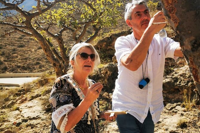 West Salalah Tour by VisitSalalah - What the inclusions mean for your day (and what they do not)