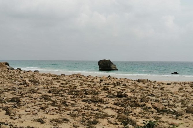 Where Sea Meets Rock: A Scenic Journey to West Salalah’s Shores - Mughsail Beach: wind, surf, and rugged coastline views