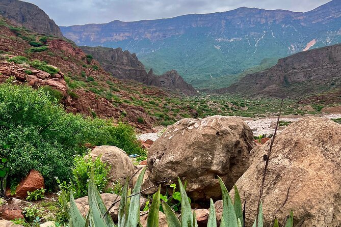 Your Salalah Tour-Your German speaking tour provider/mountain tour - Wadi Darbat: waterfalls, wild animals, and a picnic under the trees